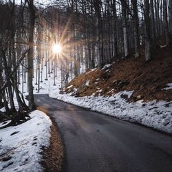 Snow covered road in forest