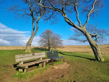 Bare tree on field against sky and bench