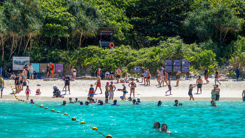 People in swimming pool against trees