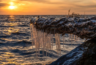 Sunrise with icicles 