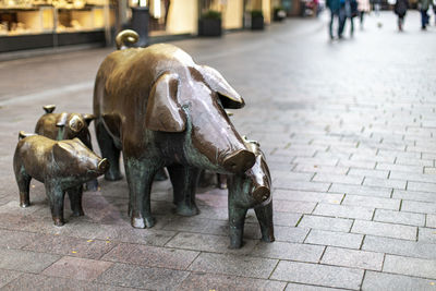 View of horses on footpath in city