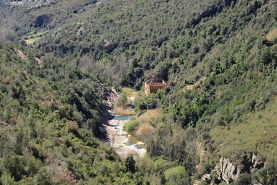 Scenic view of green landscape