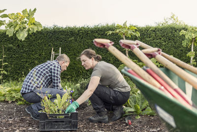 Side view of couple working at community garden