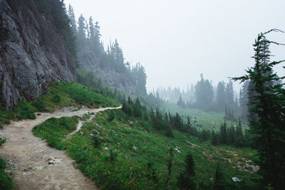 Scenic view of landscape against sky during foggy weather