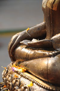 Close-up of wet buddha statue