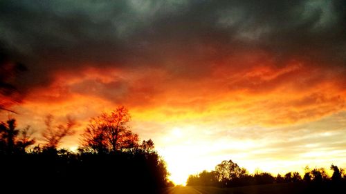 Silhouette of trees against cloudy sky