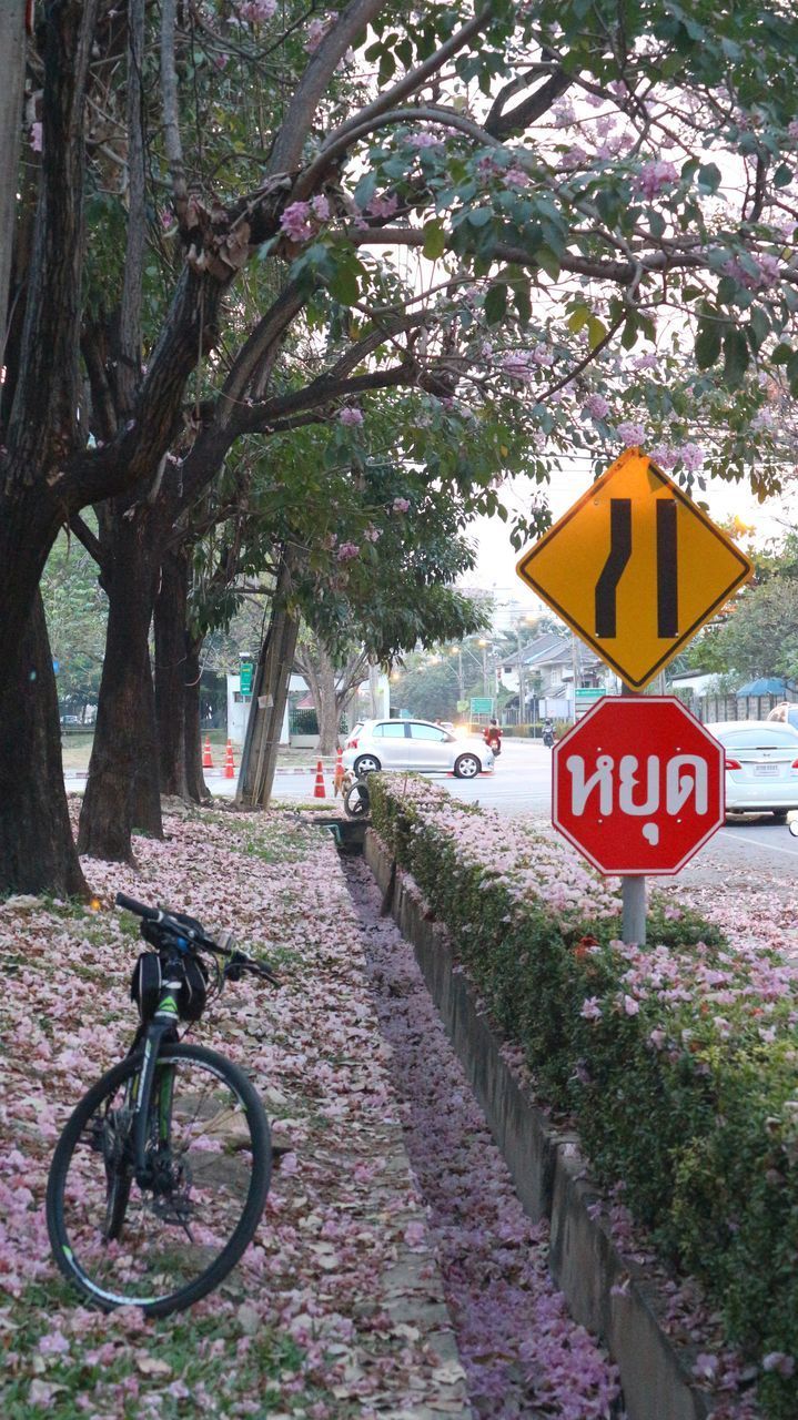 VIEW OF ROAD SIGN AGAINST TREES