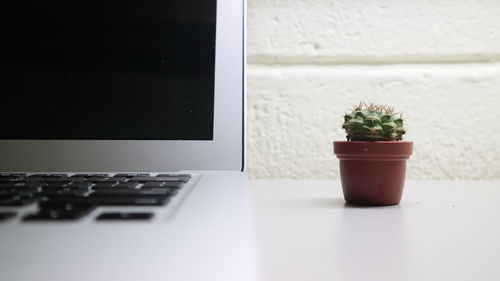 Close-up of potted plant and laptop on table
