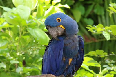 Bird perching on a branch