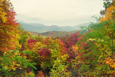 Scenic view of mountains against sky during autumn
