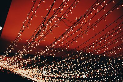 Close-up of wet spider web against sky