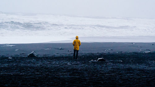 Rear view of man standing on shore against sky