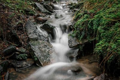 Stream flowing through rocks