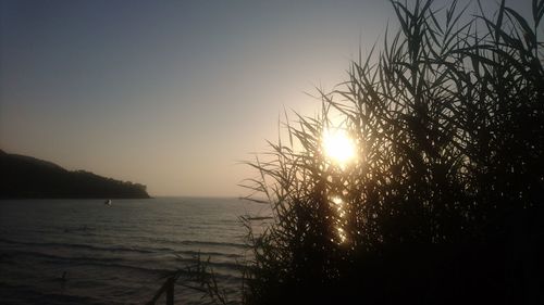 Scenic view of sea against clear sky during sunset