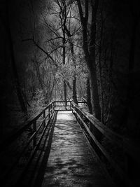 Narrow walkway along bare trees