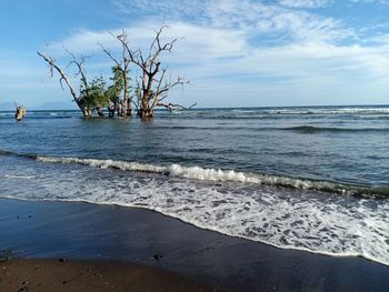 Scenic view of sea against sky