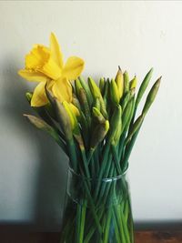 Close-up of flowers over white background