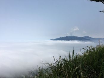 Scenic view of sea against clear sky