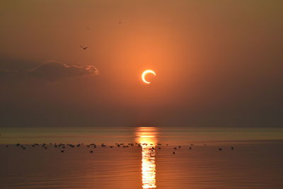 Solar eclipse on 26th of december 2019 in al khobar saudi arabia 