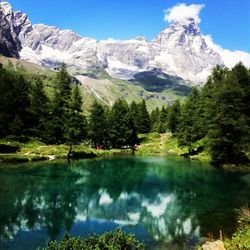 Reflection of trees and snowcapped mountains in lake