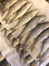 Full frame shot of fishes in market for sale