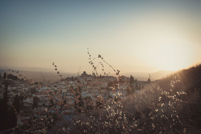 Scenic view of landscape at sunset