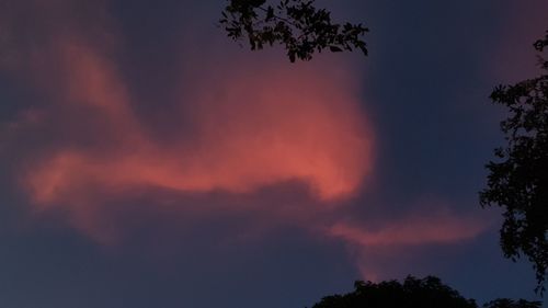 Low angle view of silhouette trees against sky at sunset