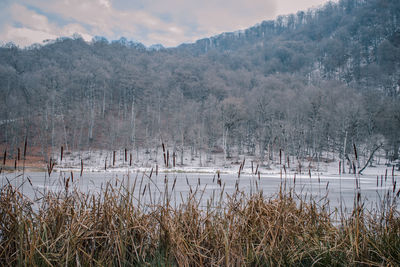 Scenic view of lake against sky