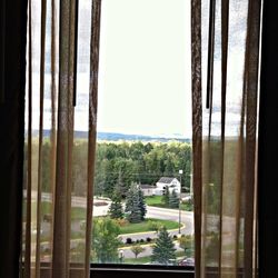 Plants and trees seen through window