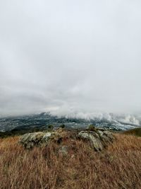 horizon