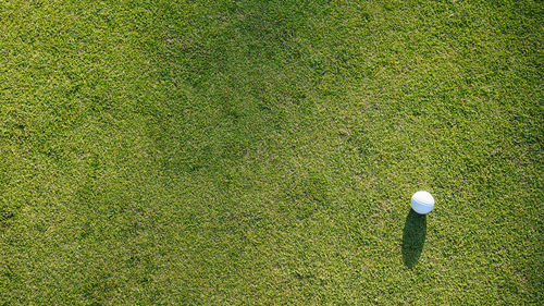 Golf ball on field