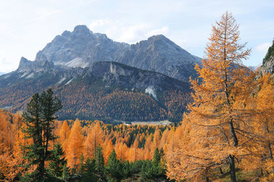 Scenic view of mountains against sky during autumn