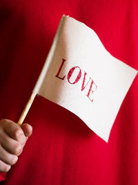 An unknown child in a red sweater holds a handmade flag with the word love