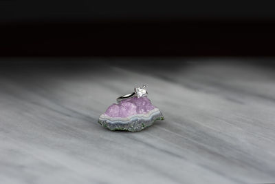 Close-up of butterfly on table