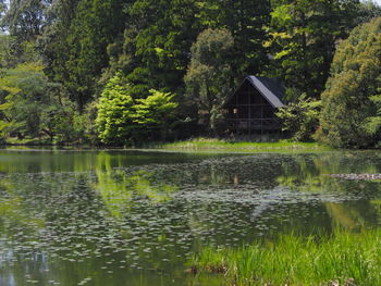 Lake by trees and house in forest