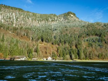 Scenic view of lake and trees against clear sky