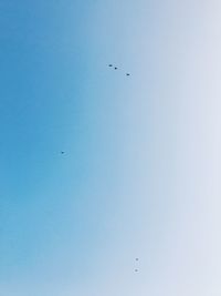 Low angle view of birds flying in sky