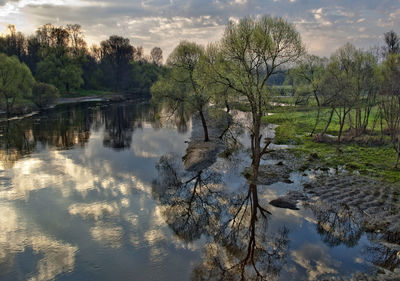Trees by dubna river against sky