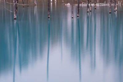 Reflection of bare trees in lake