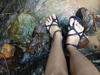 Low section of woman standing in water