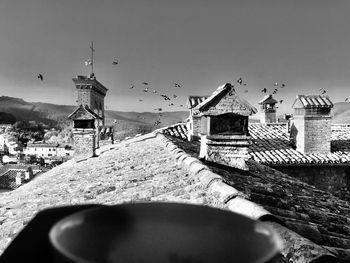 Birds flying over buildings in city against sky