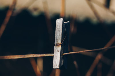 Close-up of wood