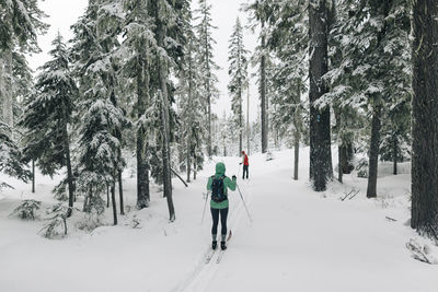 Two cross country skiers on a trail near mt. hood in oregon.