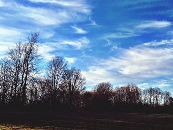 Bare trees on field against cloudy sky