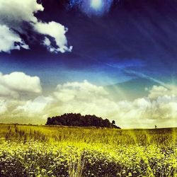 Scenic view of field against cloudy sky