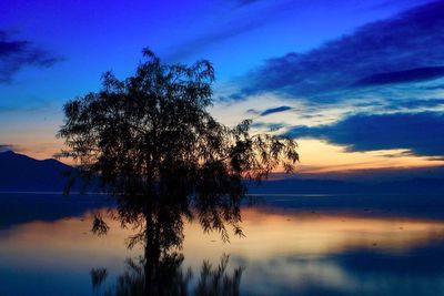 Silhouette tree by lake against sky at sunset