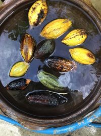 High angle view of fruits in plate