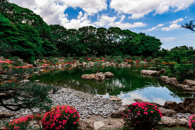 Koi pond with a small island in the japanese garden ohori in fukuoka, japan