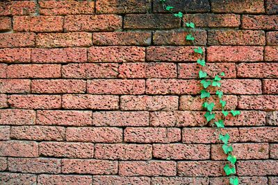 Full frame shot of brick wall
