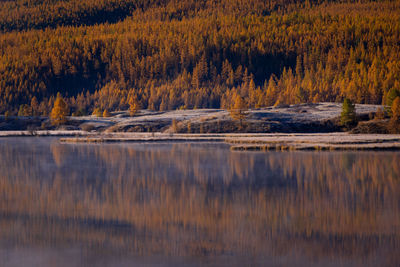 Scenic view of lake in forest during autumn